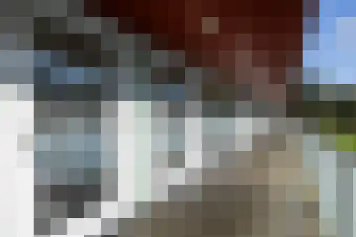 Meerval 56 Amersfoort thumbnail 8