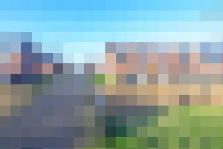 Meerval 60 Schagen thumbnail 10
