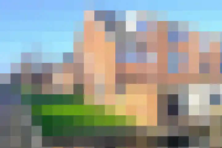 Meerval 60 Schagen thumbnail 11