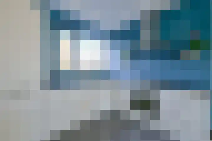 Meerval 60 Schagen thumbnail 16