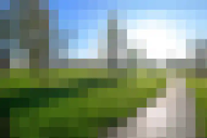 Meerval 60 Schagen thumbnail 34
