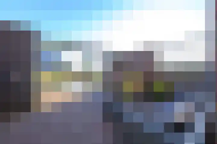 Meerval 60 Schagen thumbnail 7