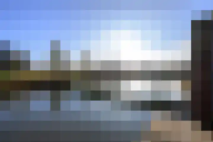 Meerval 60 Schagen thumbnail 8