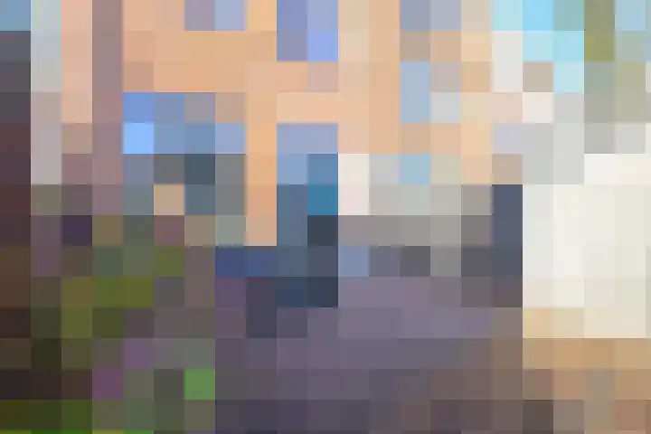 Meerval 60 Schagen thumbnail 9