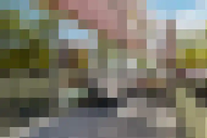 Meerval 62 Amersfoort thumbnail 21