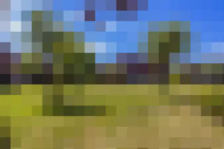 Meerval 62 Amersfoort thumbnail 29