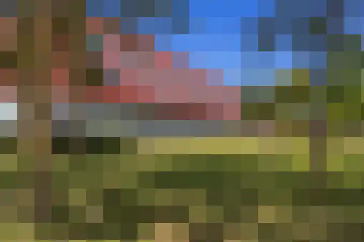 Meerval 62 Amersfoort thumbnail 5