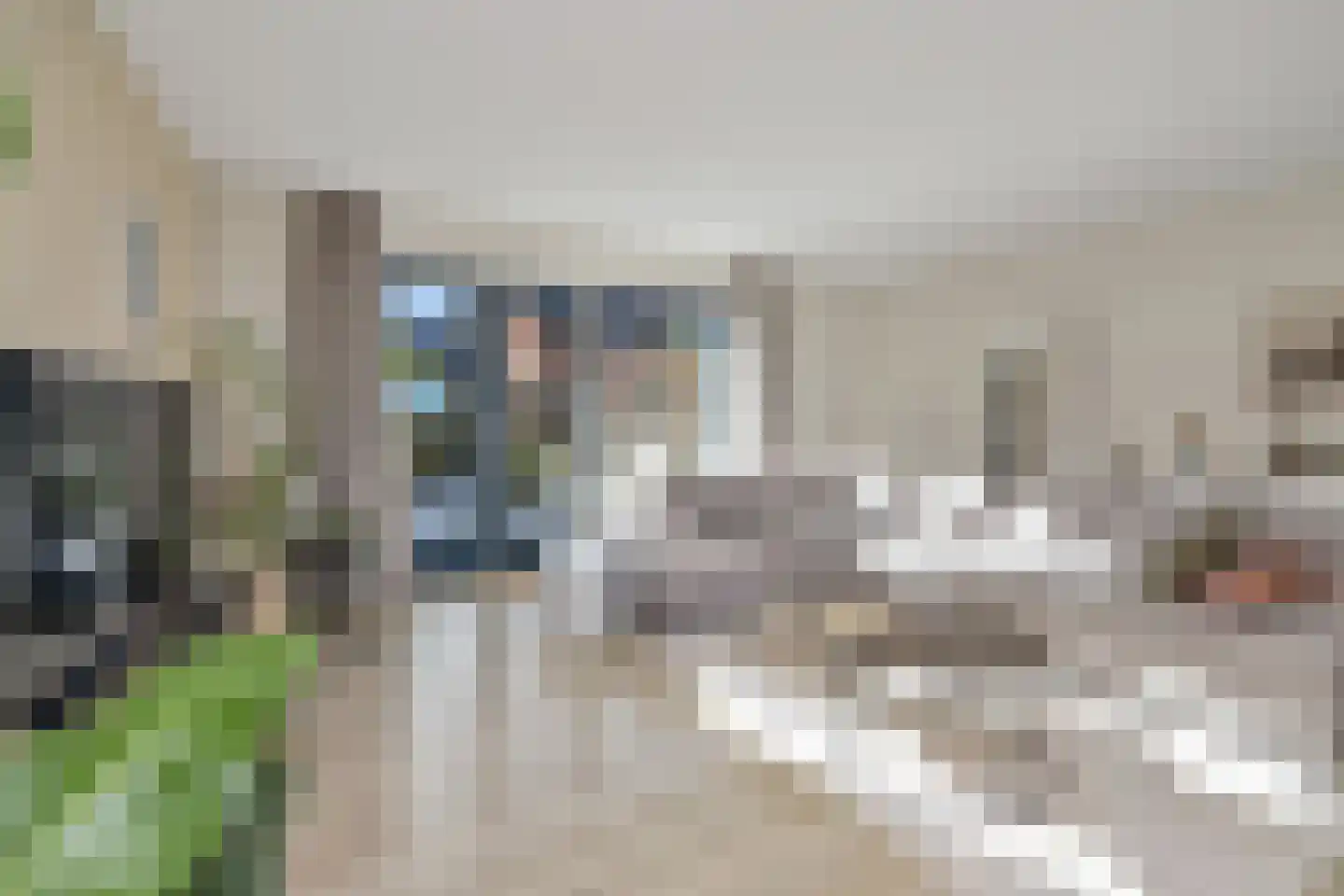Meerval 63 Schagen thumbnail 15