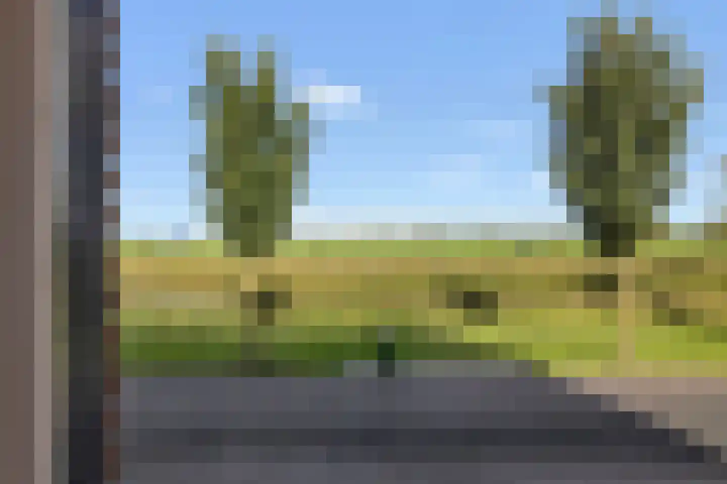 Meerval 63 Schagen thumbnail 27