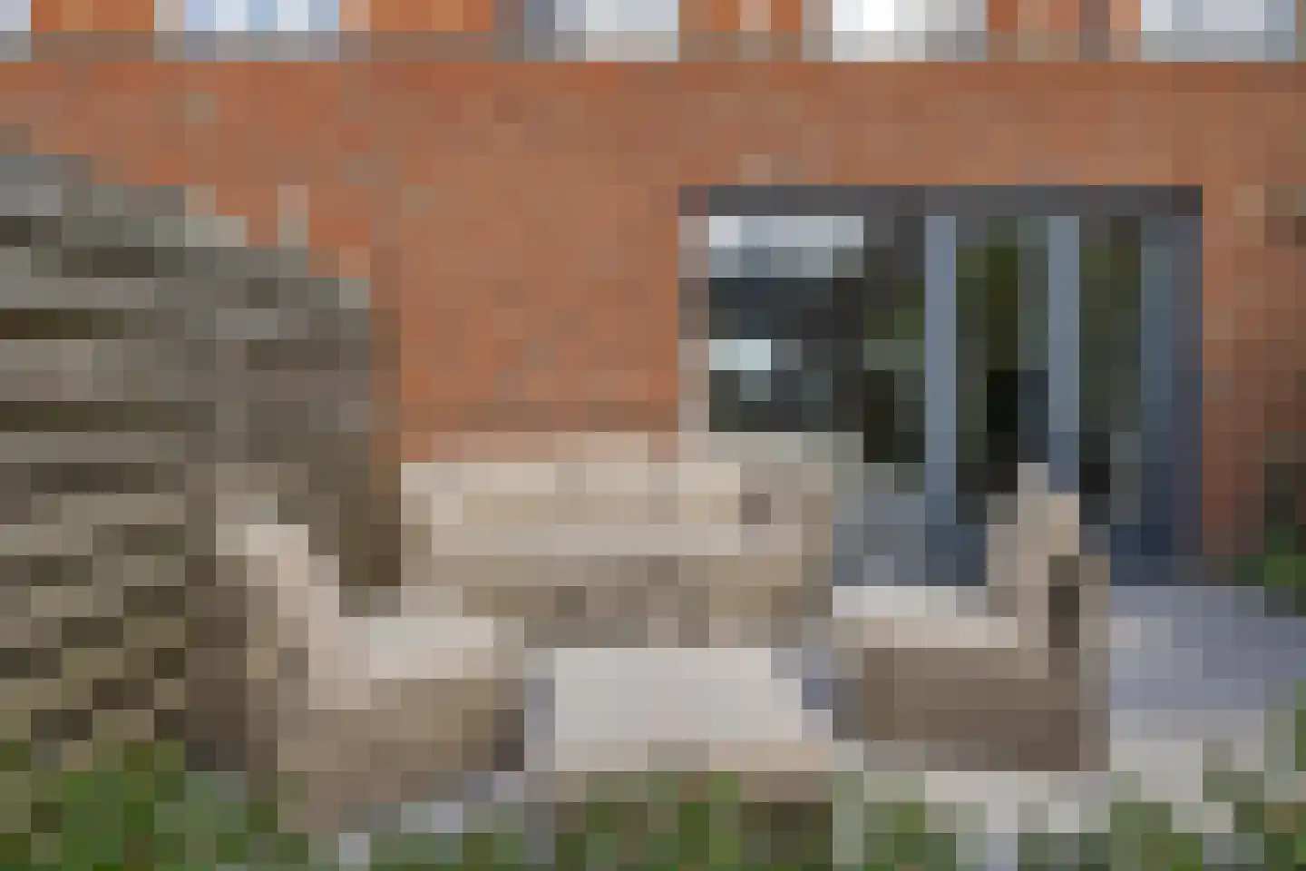 Meerval 63 Schagen thumbnail 39