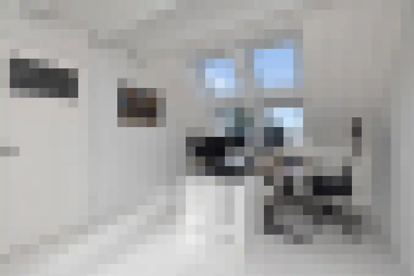 Meerval 63 Schagen thumbnail 4