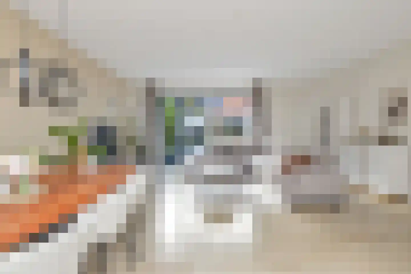 Meerval 63 Schagen thumbnail 5
