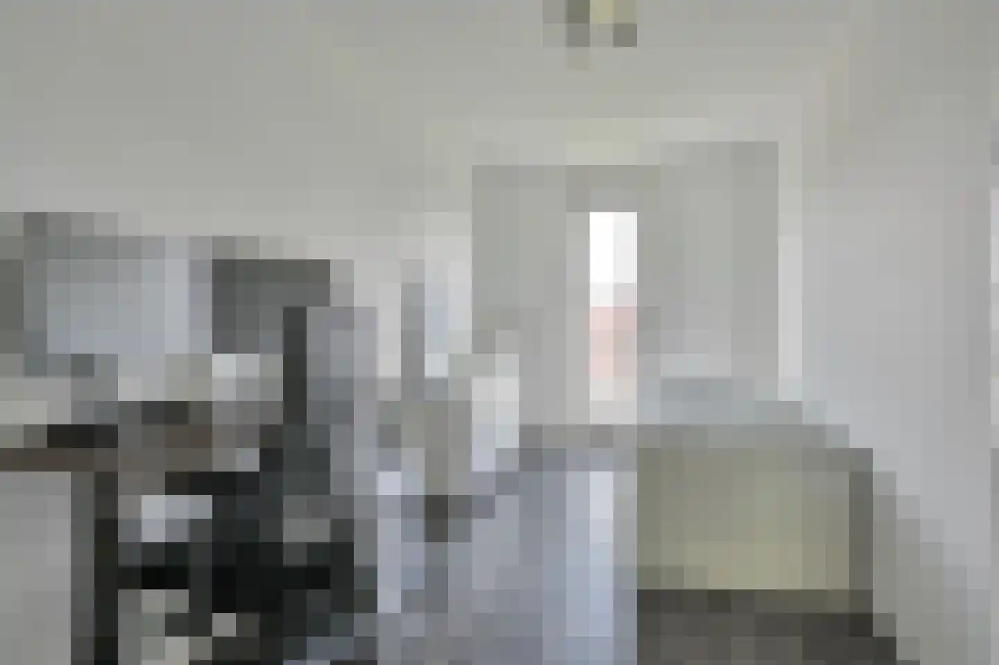 Meerval 68 Amersfoort thumbnail 13