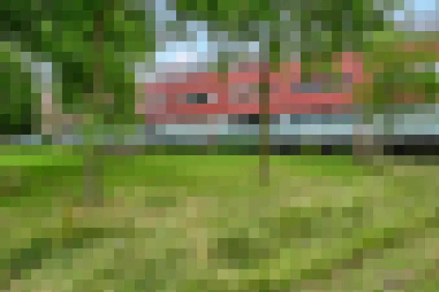 Meerval 68 Amersfoort thumbnail 20