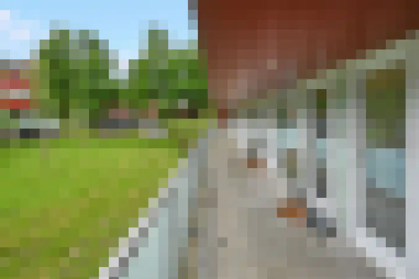 Meerval 68 Amersfoort thumbnail 22