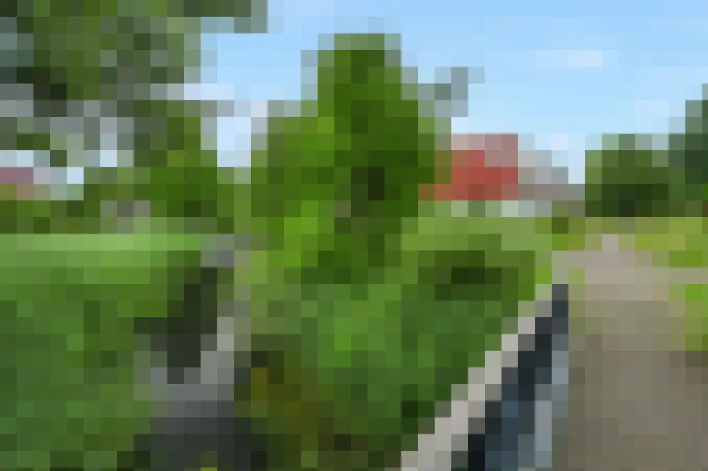 Meerval 68 Amersfoort thumbnail 23
