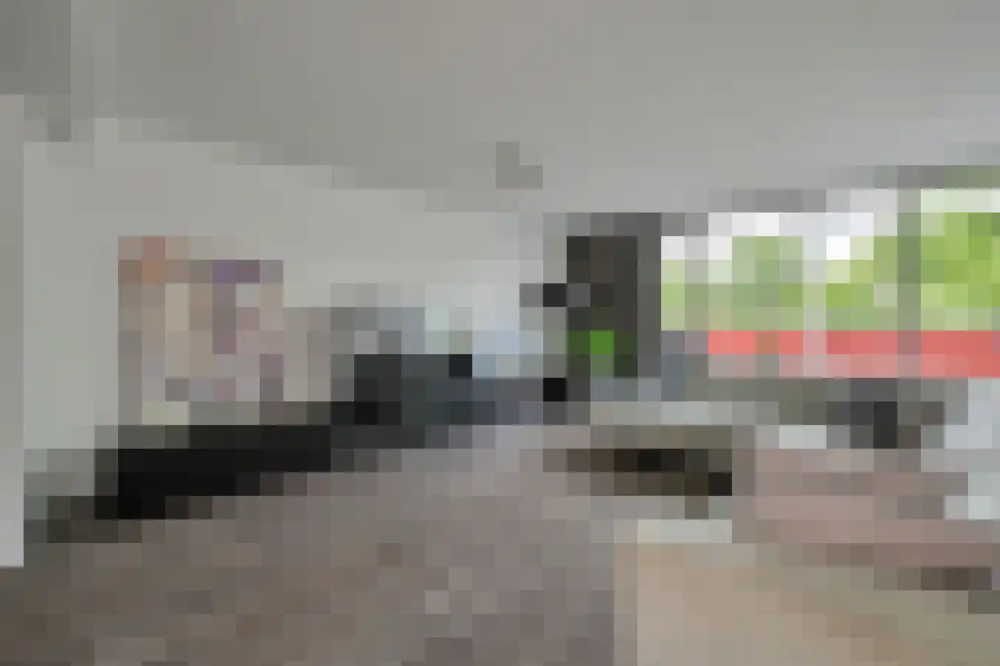 Meerval 68 Amersfoort thumbnail 6