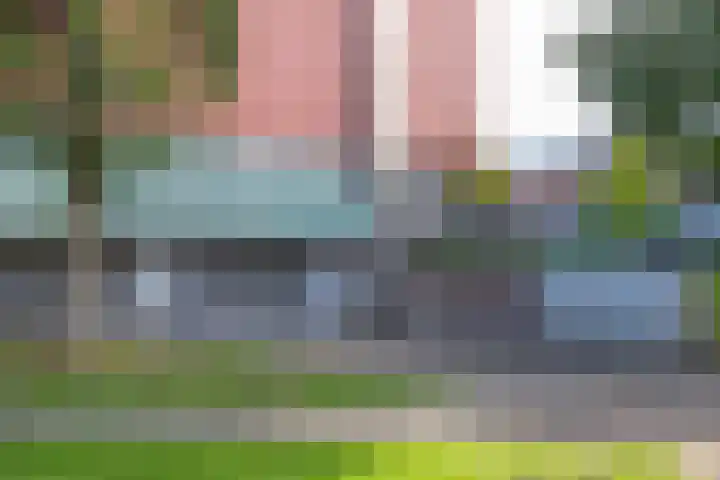 Meerval 86 Amersfoort thumbnail 19