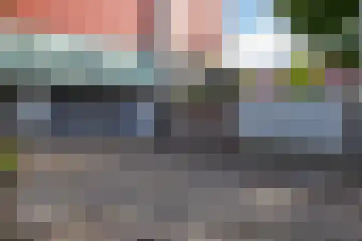 Meerval 86 Amersfoort thumbnail 20