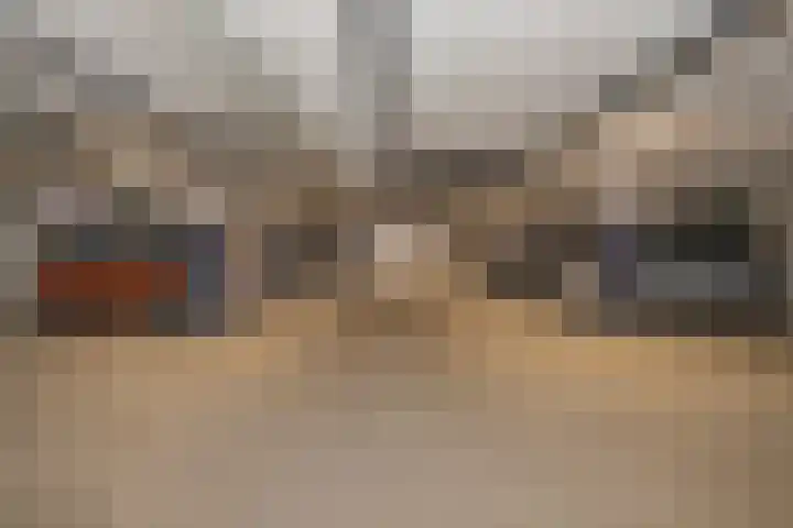 Meerval 86 Amersfoort thumbnail 22