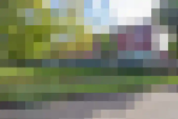 Meerval 86 Amersfoort thumbnail 23