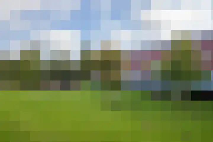 Meerval 86 Amersfoort thumbnail 24