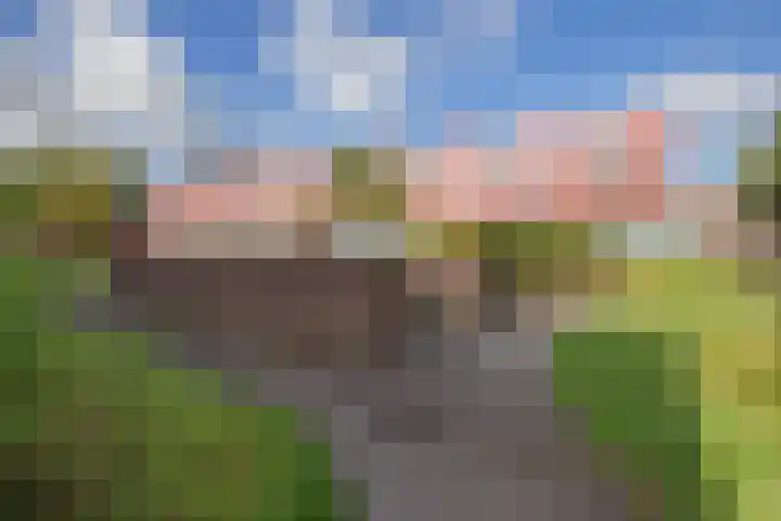 Meerval 86 Amersfoort thumbnail 25