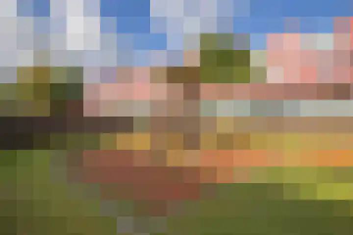Meerval 86 Amersfoort thumbnail 26