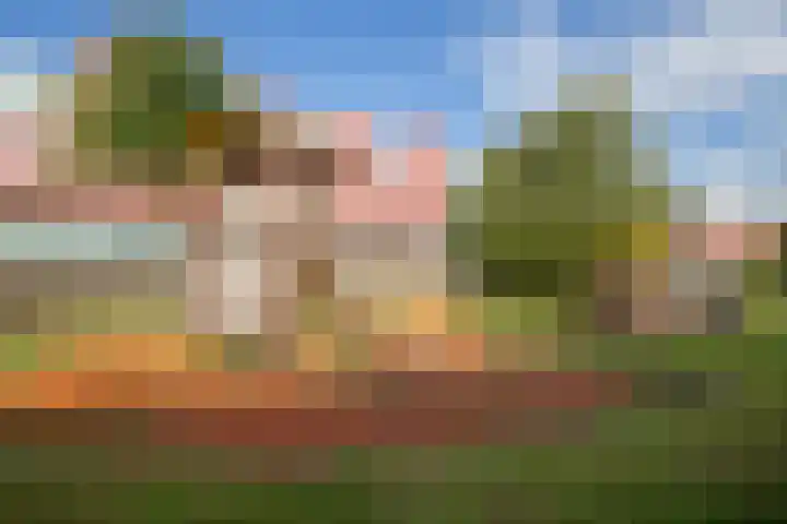 Meerval 86 Amersfoort thumbnail 27
