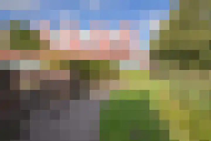 Meerval 86 Amersfoort thumbnail 28