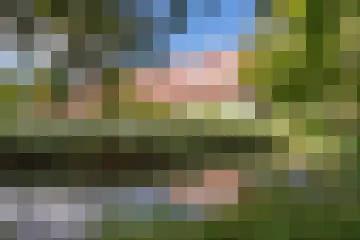 Meerval 86 Amersfoort thumbnail 29