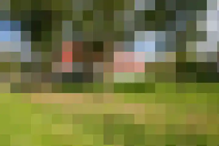 Meerval 86 Amersfoort thumbnail 30