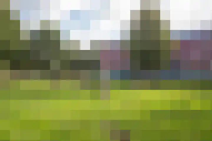 Meerval 86 Amersfoort thumbnail 31