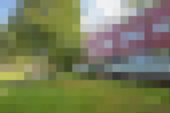 Meerval 86 Amersfoort thumbnail 32