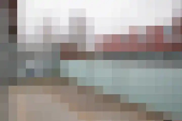 Meerval 86 Amersfoort thumbnail 4