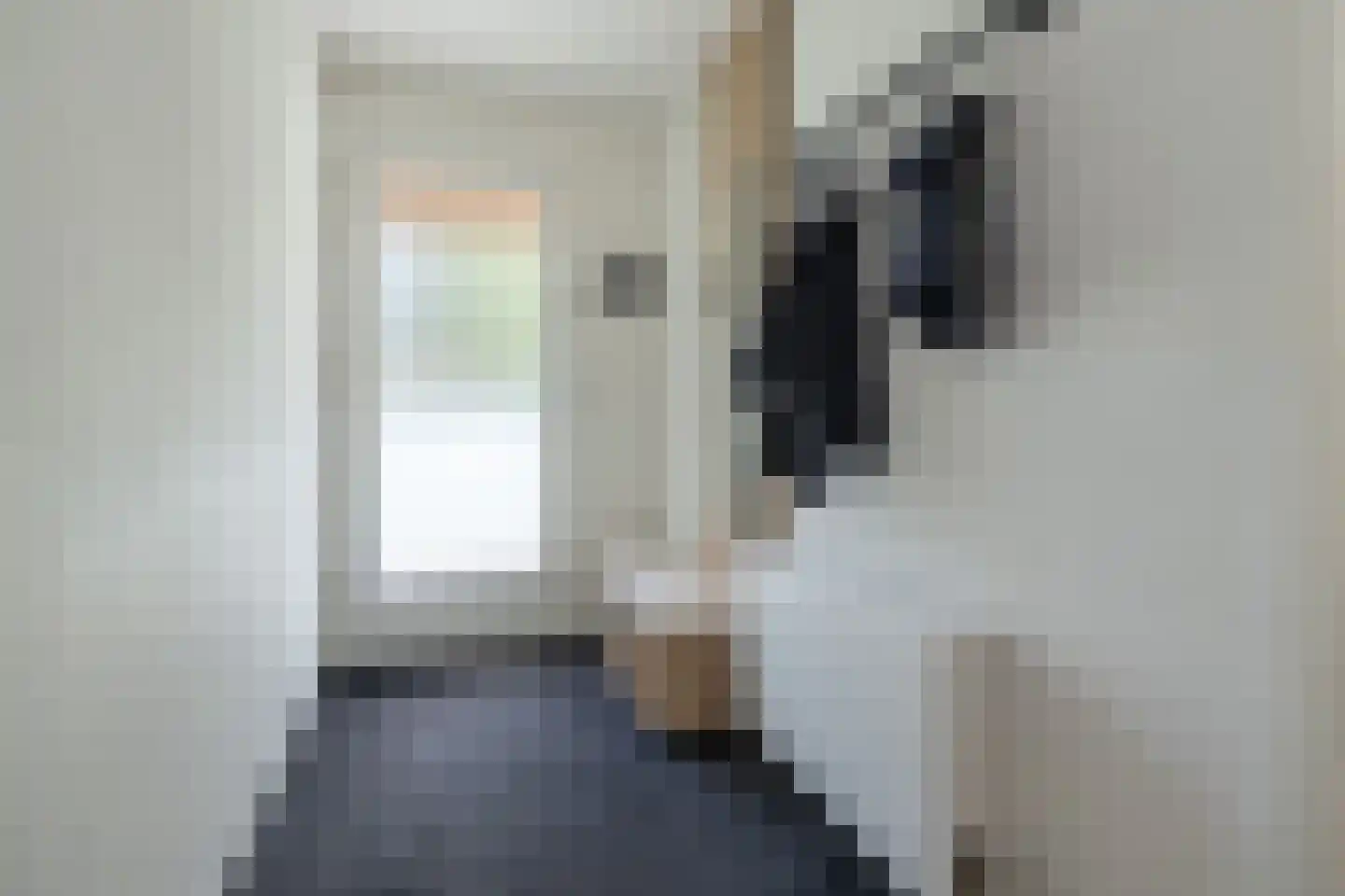 Meerval 90 Amersfoort thumbnail 17