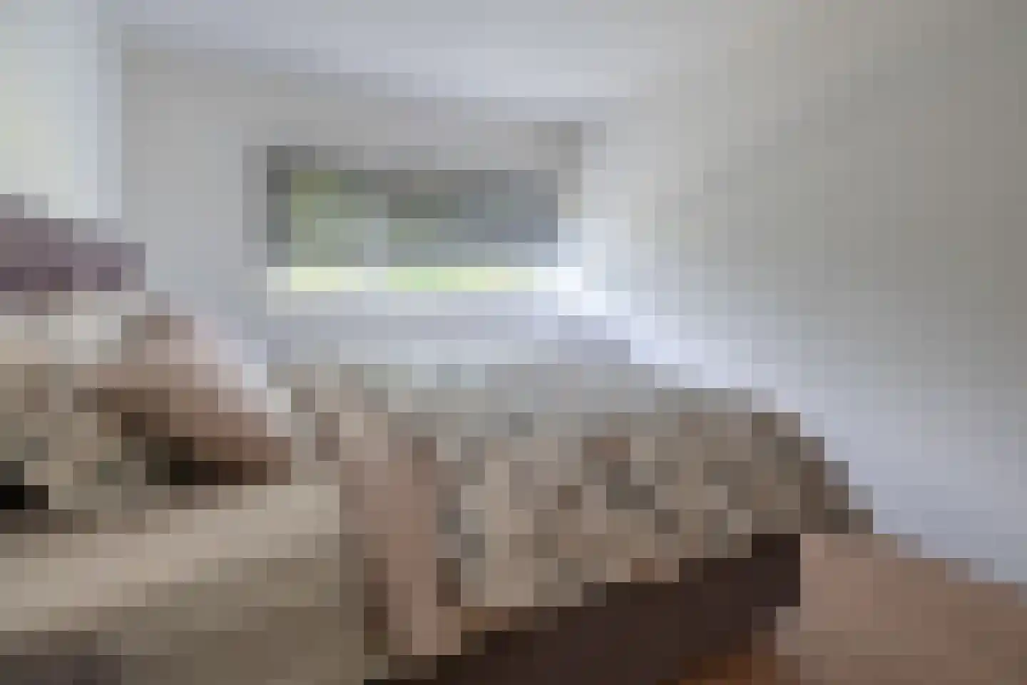 Meerval 90 Amersfoort thumbnail 23