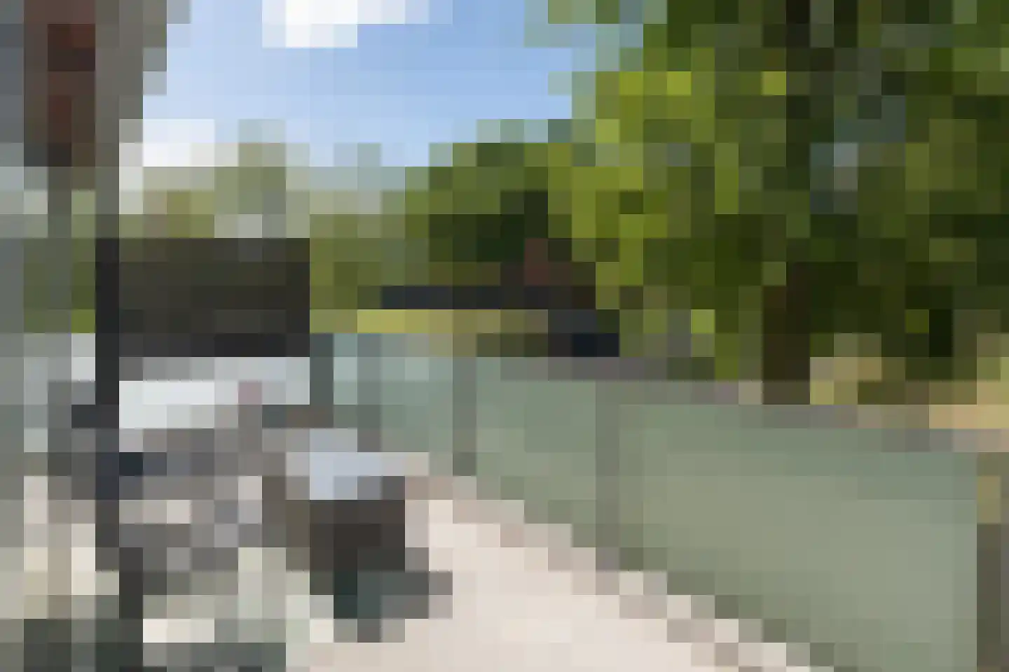 Meerval 90 Amersfoort thumbnail 31