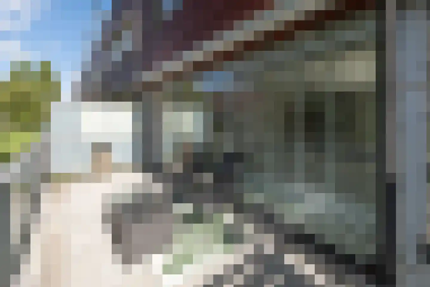 Meerval 90 Amersfoort thumbnail 32