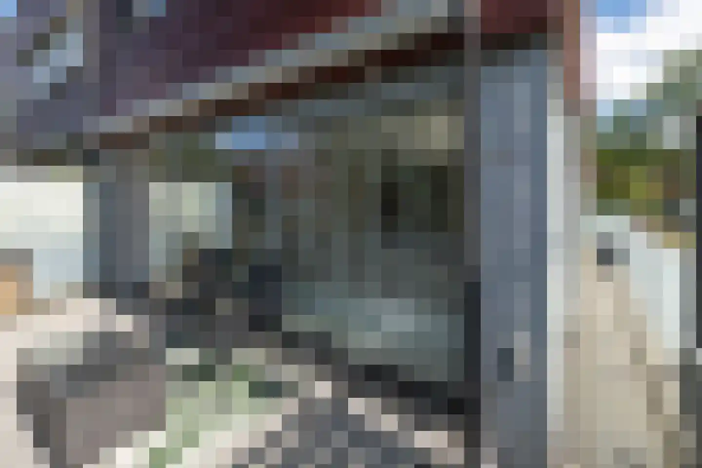 Meerval 90 Amersfoort thumbnail 34