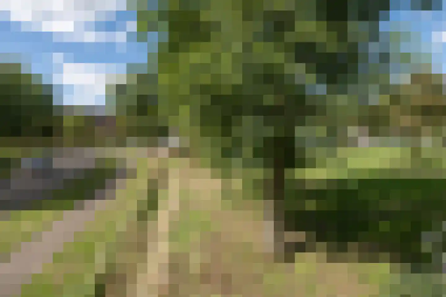Meerval 90 Amersfoort thumbnail 36