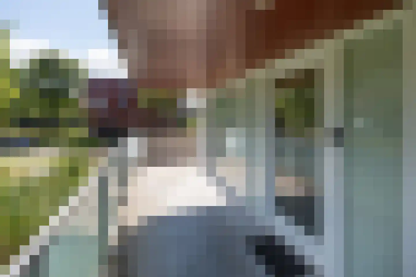 Meerval 90 Amersfoort thumbnail 37