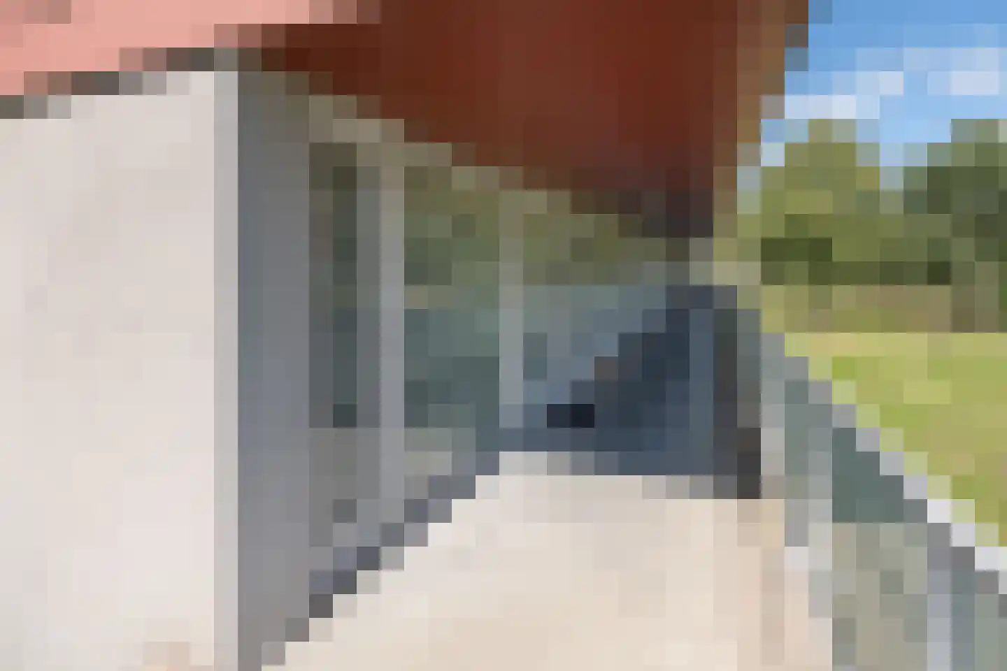Meerval 90 Amersfoort thumbnail 38