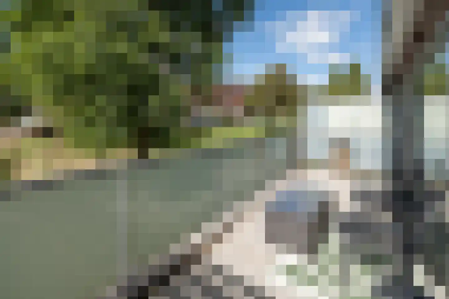 Meerval 90 Amersfoort thumbnail 4