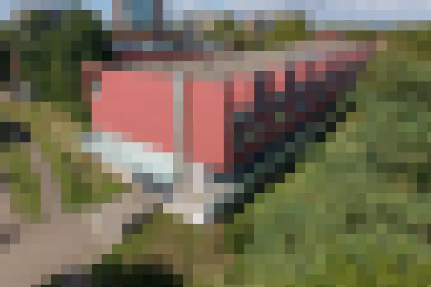 Meerval 90 Amersfoort thumbnail 46