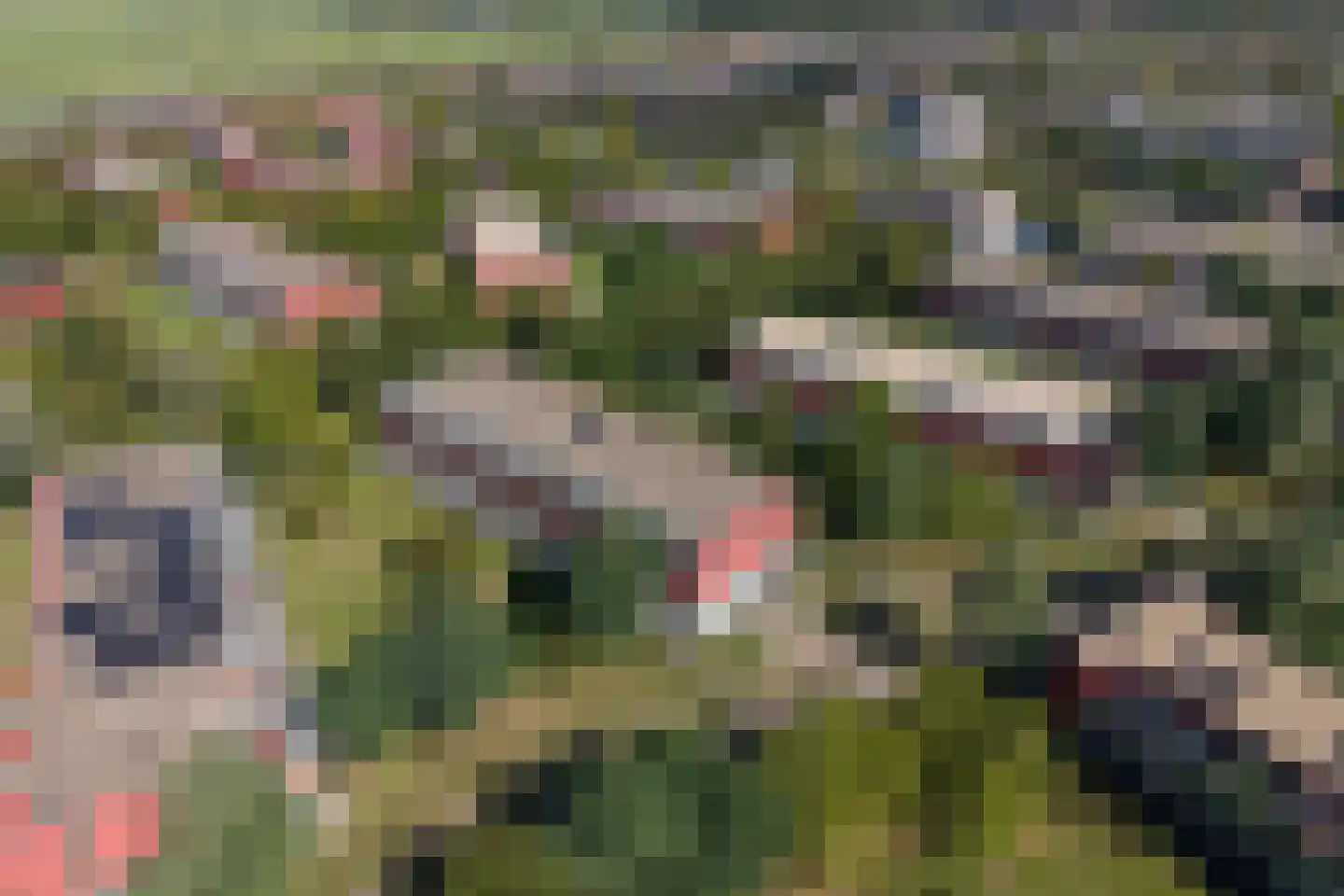 Meerval 90 Amersfoort thumbnail 50