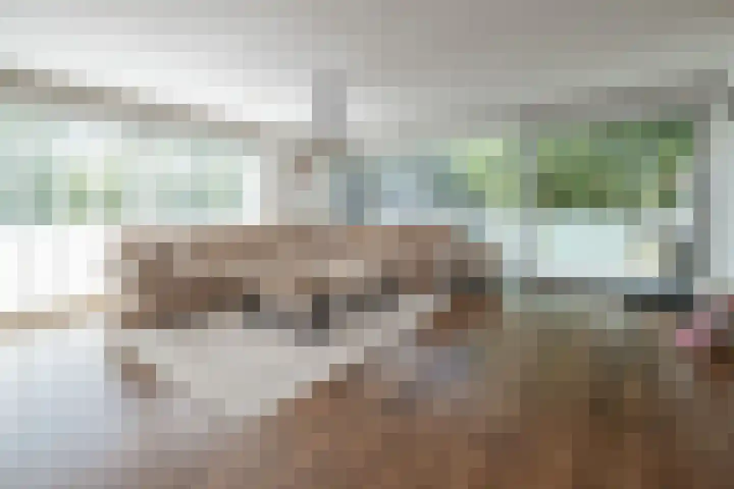 Meerval 90 Amersfoort thumbnail 6