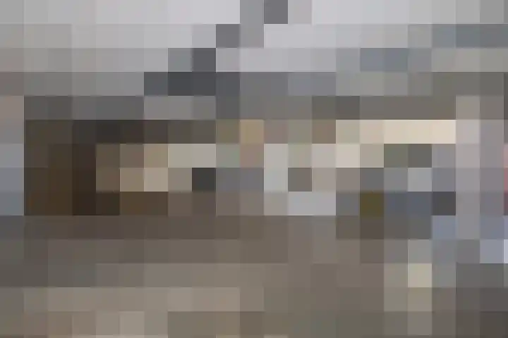 Meerval 92 Amersfoort thumbnail 26