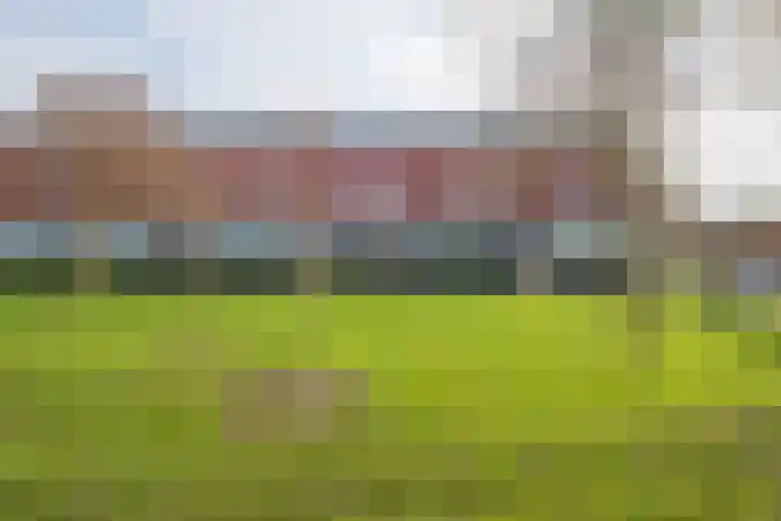 Meerval 92 Amersfoort thumbnail 27