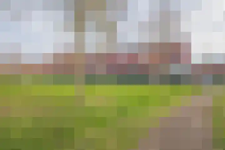 Meerval 92 Amersfoort thumbnail 28